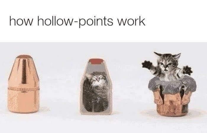 The image displays three stages: a copper-colored hollow-point bullet, then the same bullet with a small cat visible inside…