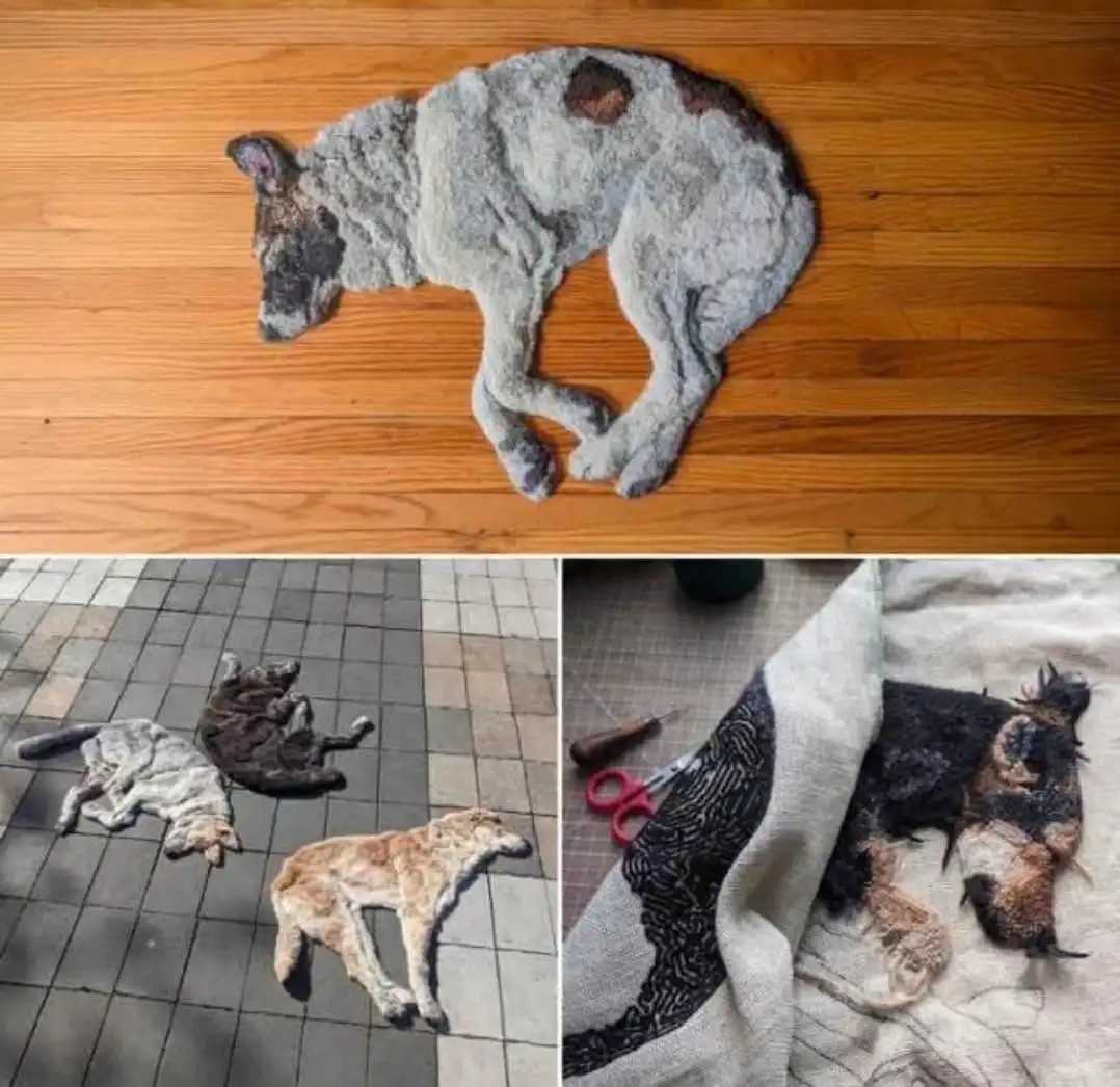 This collage shows three images of dogs that appear to be made of fabric or wool. The top image features a large, gray…
