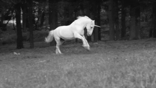 A black-and-white image shows a white horse with a unicorn horn running through a grassy field in front of trees. The image…