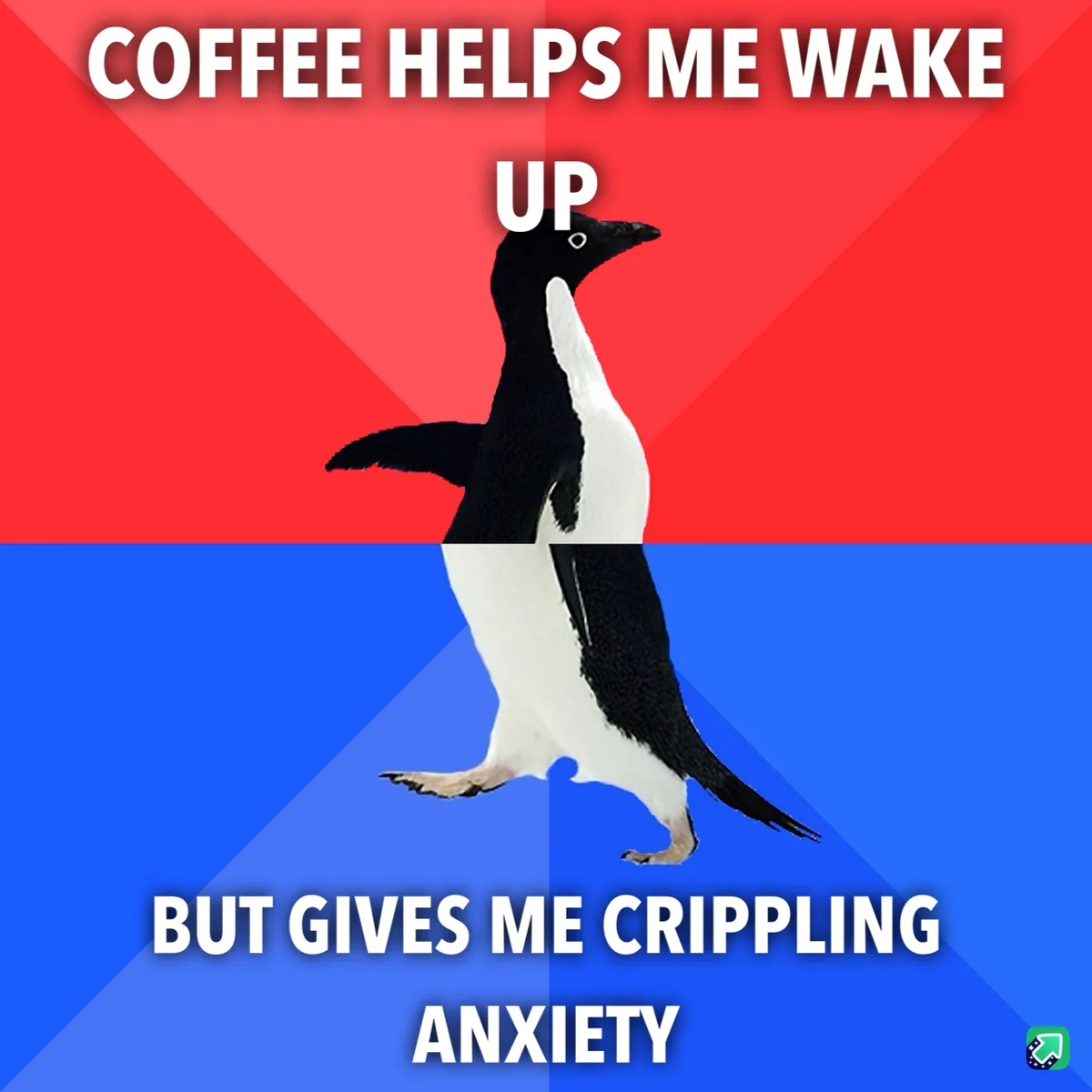 A penguin stands centered against a red and blue background, with white text overlaid. The top text reads 'COFFEE HELPS ME…