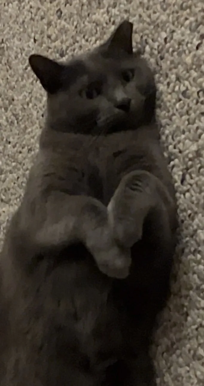 Daily Snick Pic: Number 49 - Another cute moment captured!