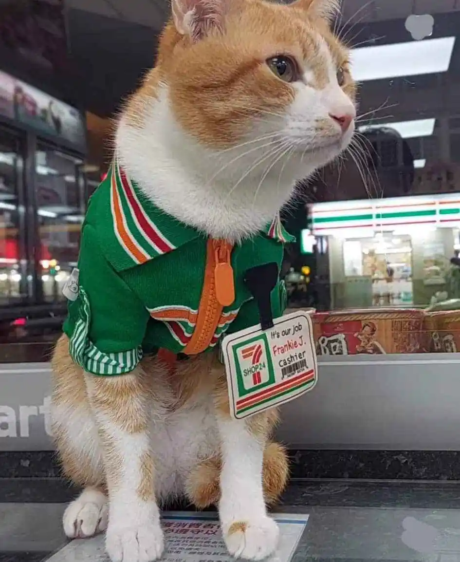 Sorry, No Litterbox Access Without a Purchase!