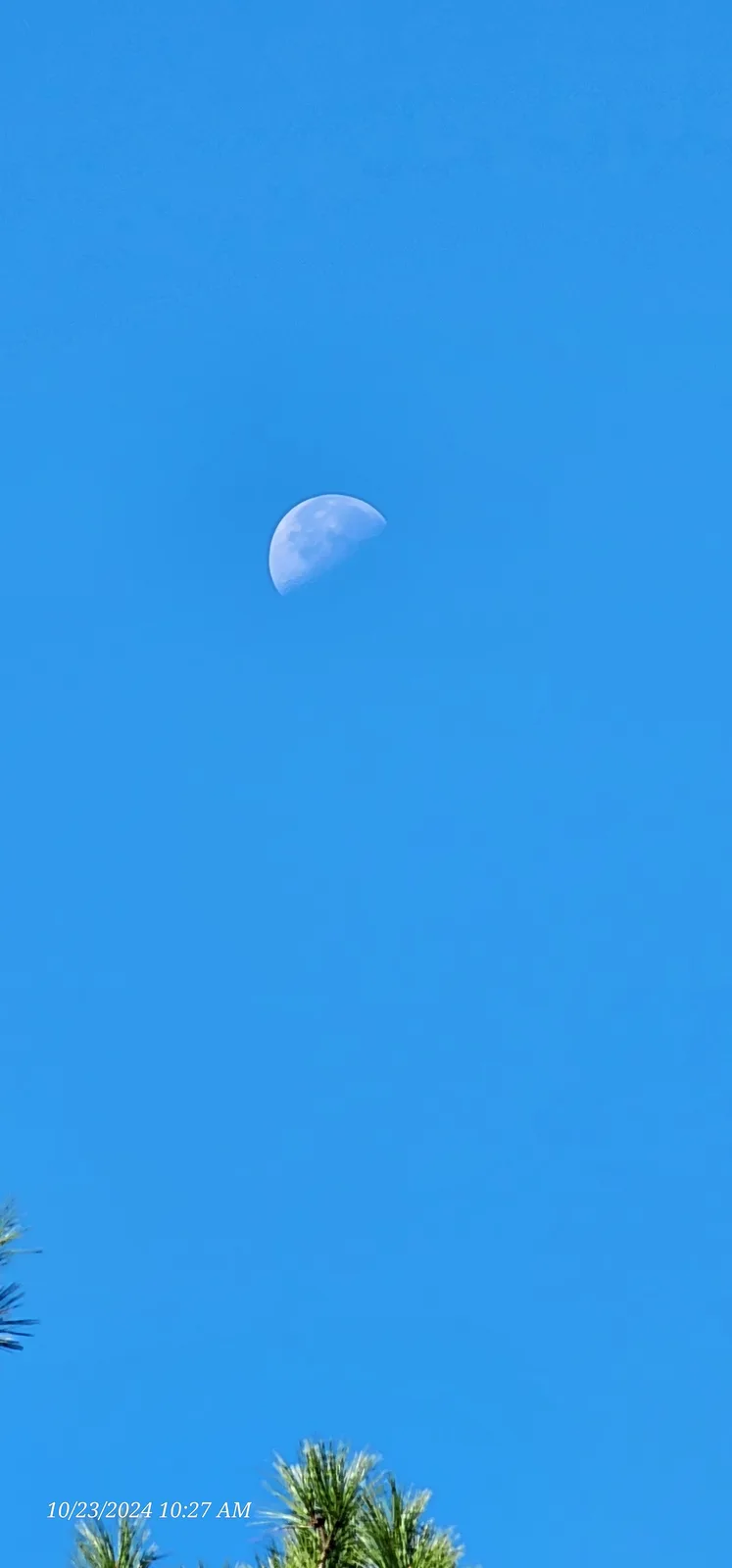 The Enchanting Half Day Moon