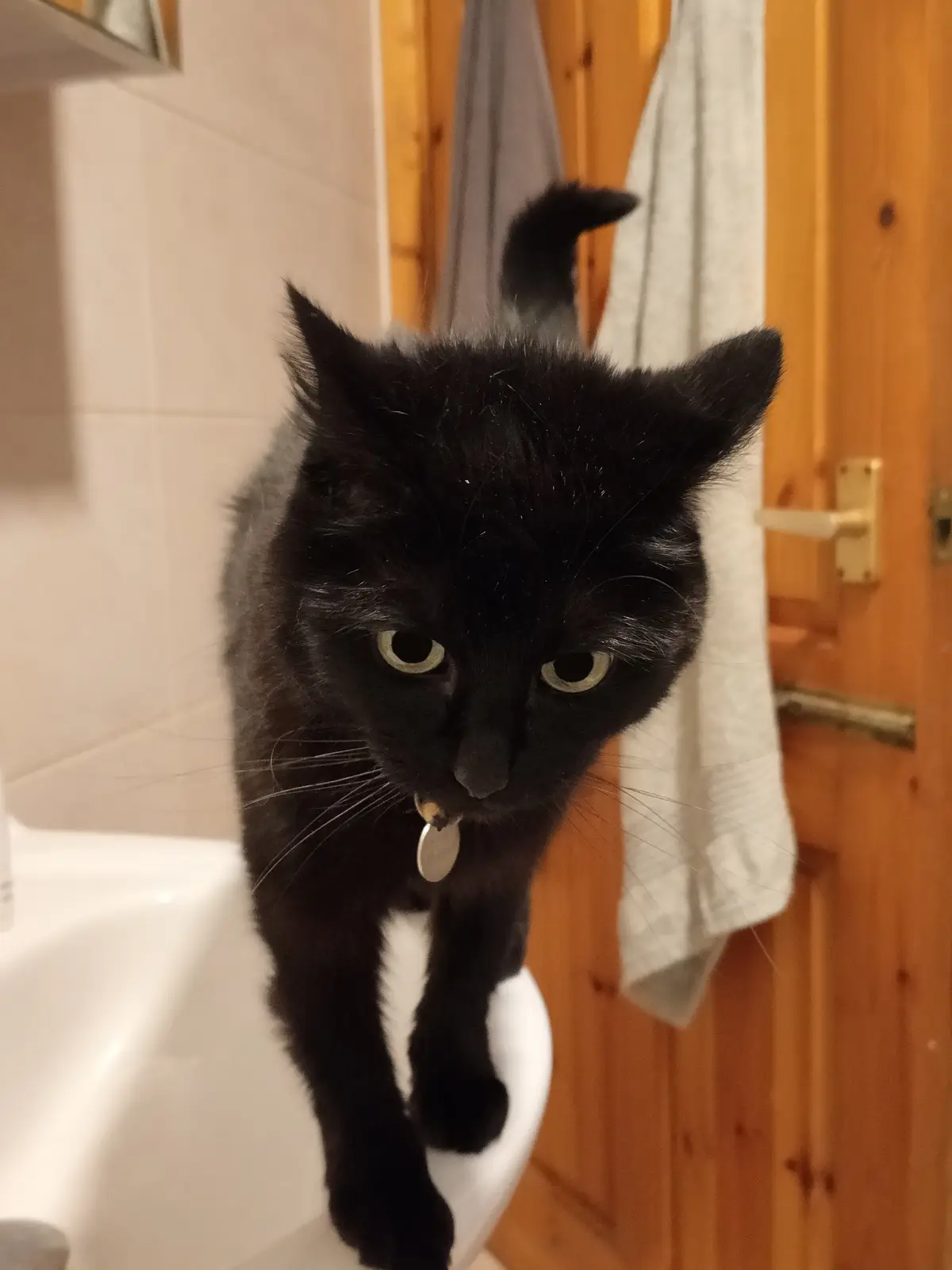 Unlocking the Mystery: 'Did You Know the Bathroom is Open?'