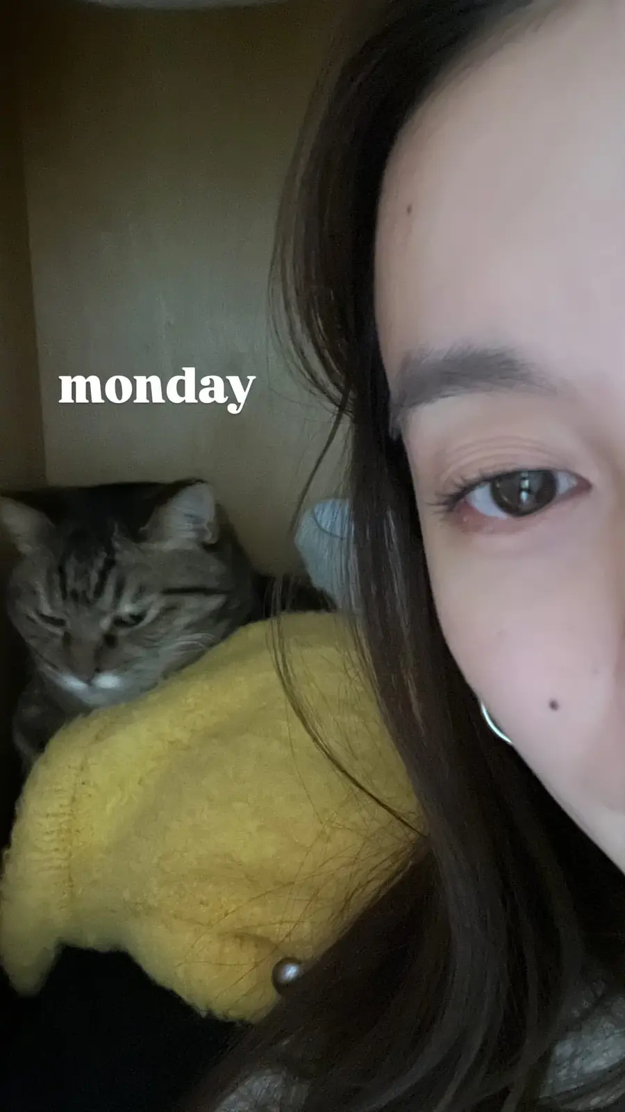 Ah, the dreaded Monday blues
