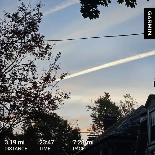 The Daily Run: Keeping Fit and Motivated