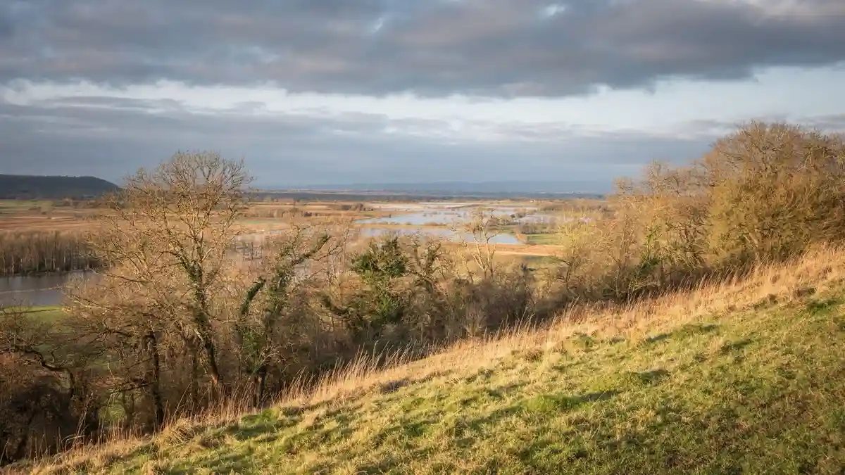 A scenic landscape photo shows a grassy hillside with bare trees in the foreground, overlooking a wide valley with flooded…