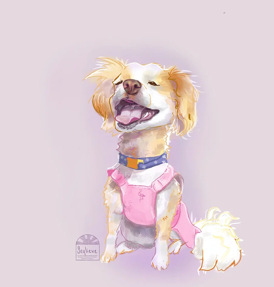 Capturing Pets and Bobblehead Portraits: A Fun Journey
