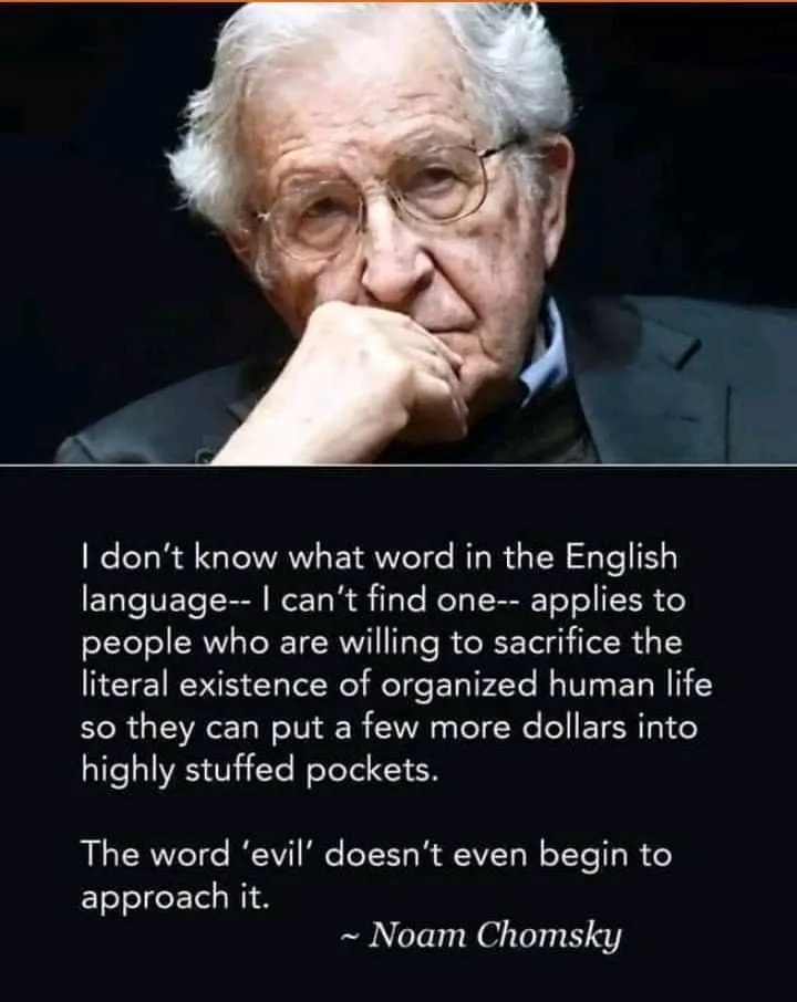 An image of Noam Chomsky with his hand on his chin, looking thoughtful, overlaid with a quote attributed to him criticizing…