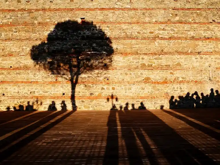 A photograph shows the distinct shadow of a tree cast on a textured stone wall, with the silhouettes of people sitting along…