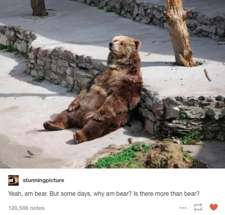 Ever Find Yourself Overthinking and Losing the Whole Day?