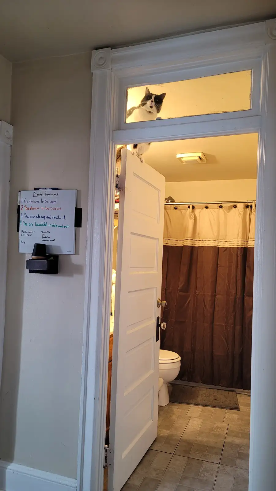 A black-and-white cat sits perched on the top of a bathroom door, looking out through the transom window. To the left, a…