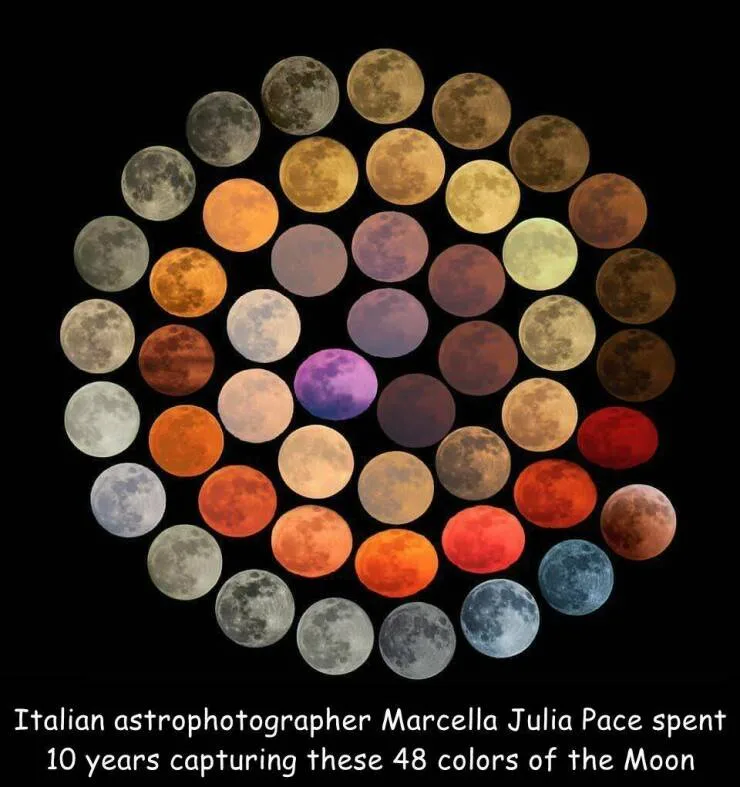 A circular collage of 48 moon photos arranged in concentric rings against a black background, showcasing the moon in various…