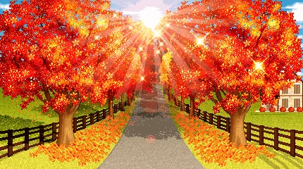 Autumn vibes are back (repost)