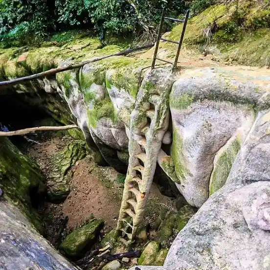 The Mysterious Petrified Iron Ladder