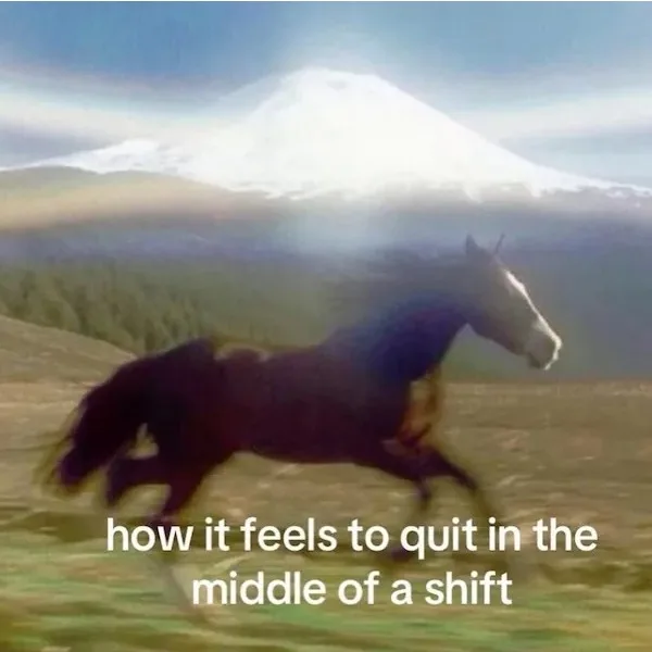 A dark horse gallops across a grassy field with a snow-capped mountain in the background, conveying a sense of sudden…