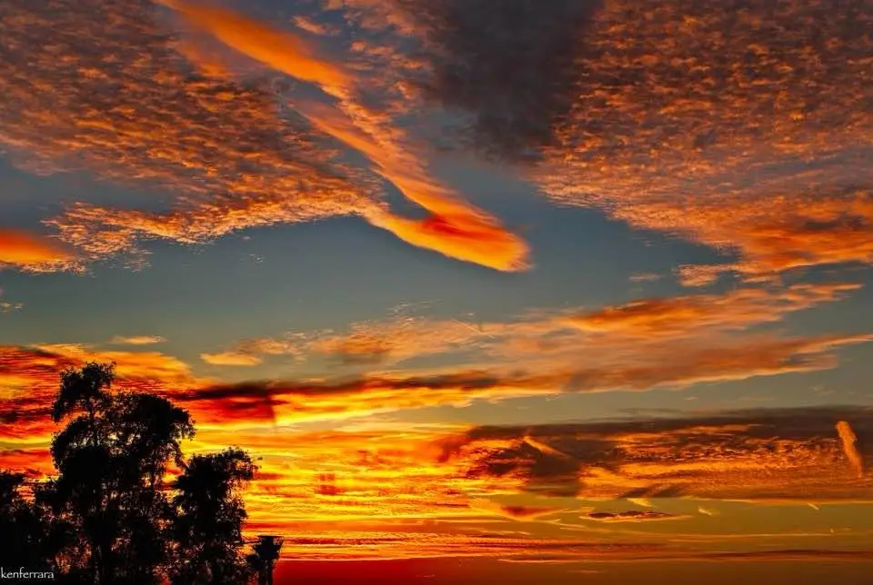 A vibrant, colorful sunset with orange, red, and blue clouds, silhouetted trees in the foreground, and a watermark…