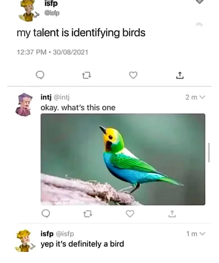 A screenshot of a Twitter thread shows user 'isfp' claiming their talent is identifying birds. User 'intj' replies with a…