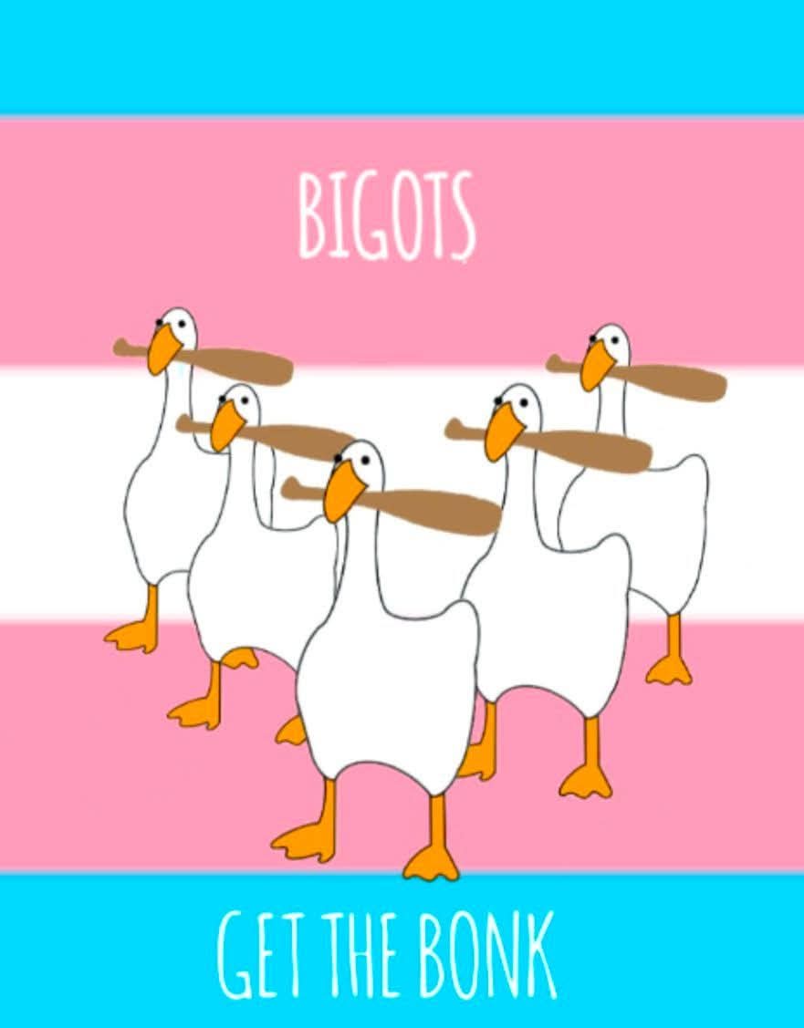 Five cartoon geese, each holding a wooden paddle horizontally in their beaks, stand in formation against a background of the…
