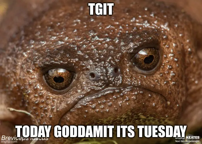 Thank Goodness It's Thursday!