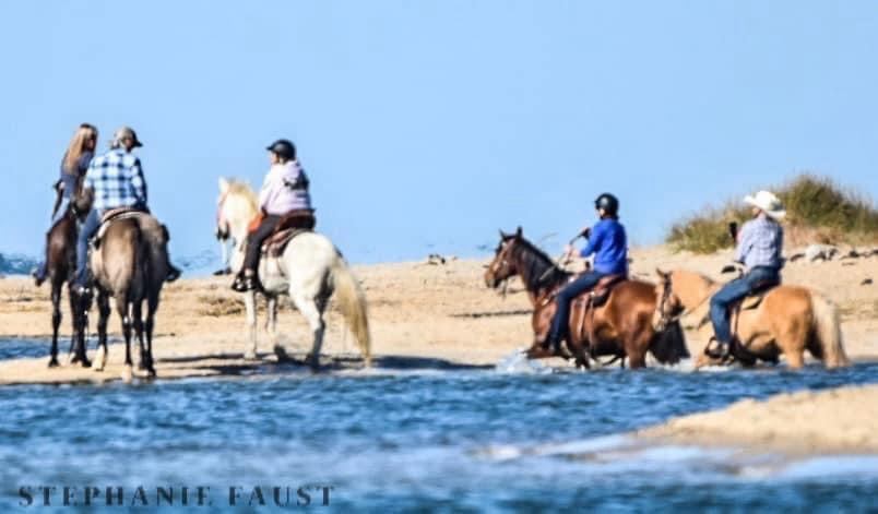 A group of five people riding horses through shallow water on a sandy beach under a clear blue sky. The riders are wearing…
