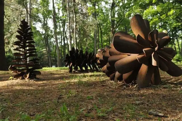 Something about being on a team and pinecones? What’s going on here?