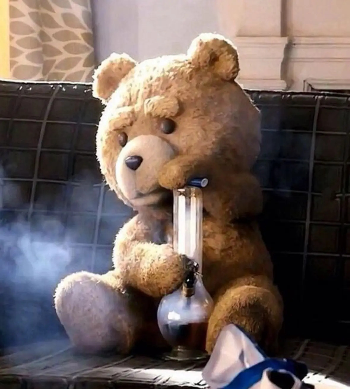A brown teddy bear sits on a dark couch holding a glass bong, with smoke visibly rising around it. The bear has a calm…