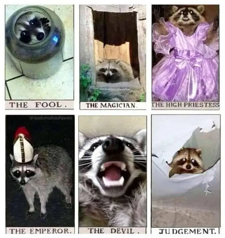 Sunday Meme Extravaganza: The Stolen Collection Continues!