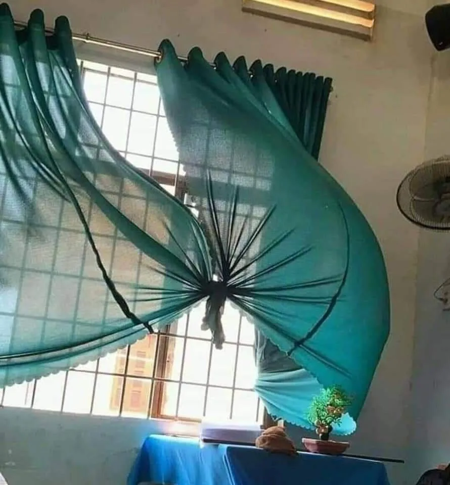 A teal sheer curtain tied in the middle with a black string forms the shape of a butterfly, with the window behind it…