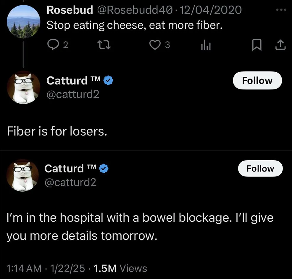 A screenshot of a Twitter thread shows a user named Rosebud advising to 'Stop eating cheese, eat more fiber.' The verified…