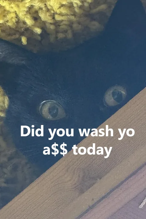 A close-up photo shows a black cat peeking over a wooden surface with wide, alert eyes, looking directly at the camera. The…