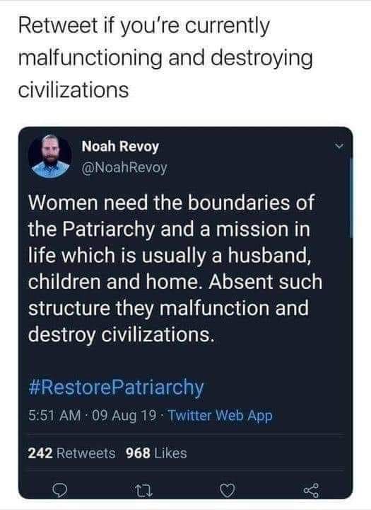 A screenshot of a tweet by Noah Revoy stating that women need patriarchal boundaries and a mission (husband, children, home)…