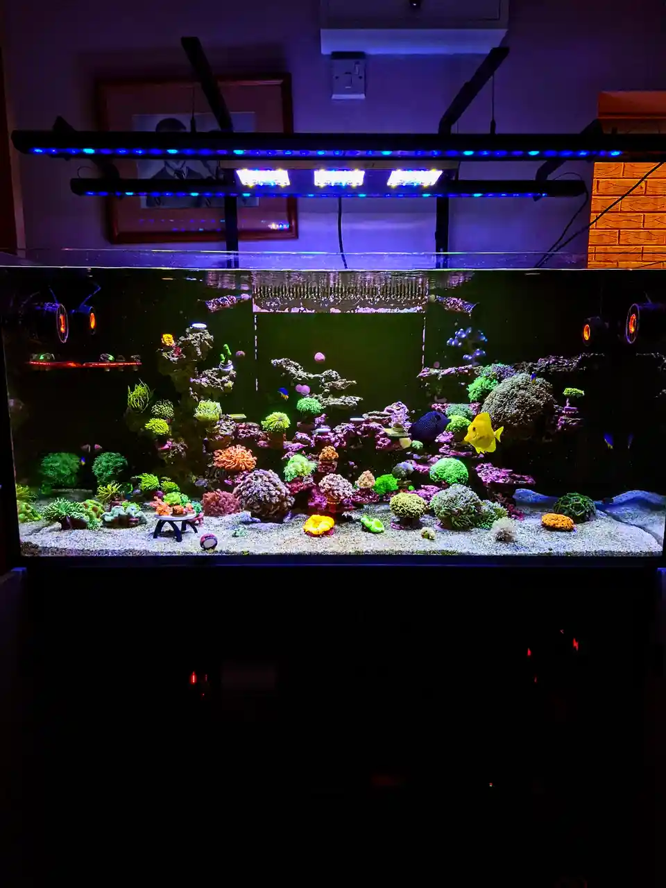 Exploring John's Reef: A Hidden Gem