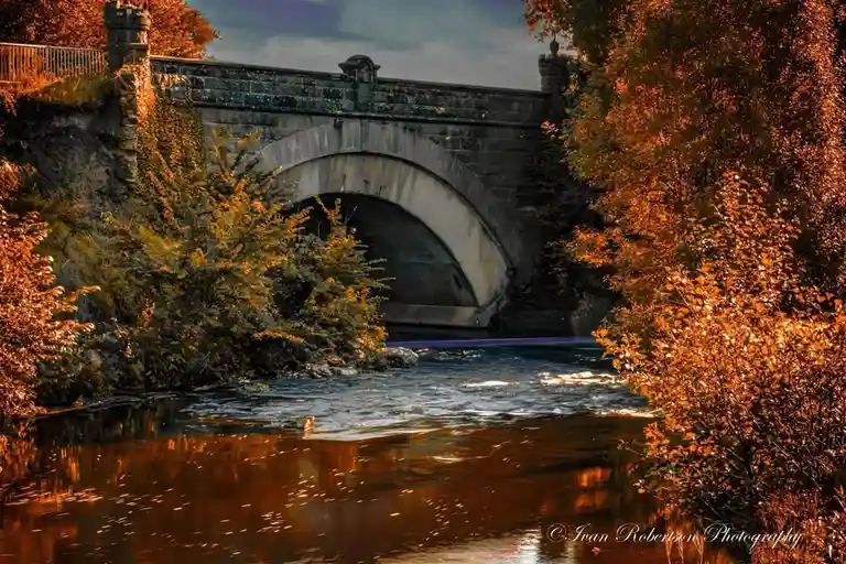 The Bridge: Connecting Worlds