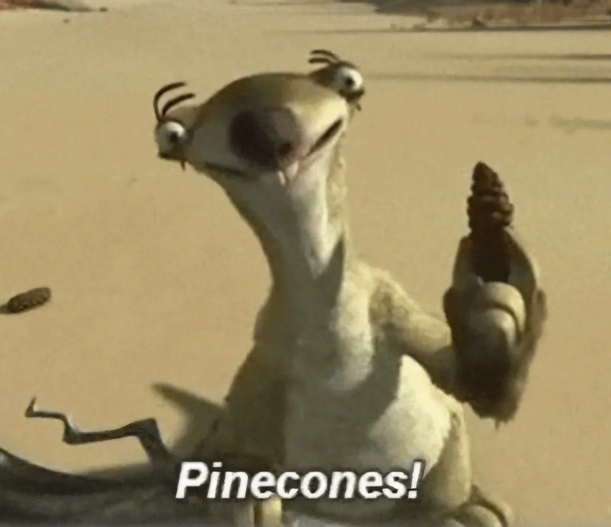 I Absolutely Adore Pinecones!