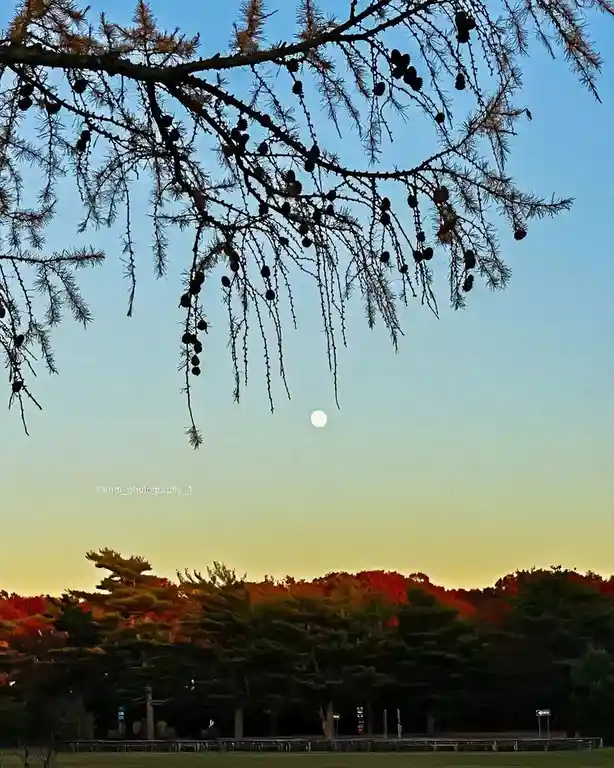 Capturing the Golden Hour with a Moonrise in Nature