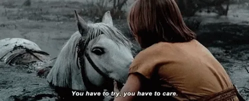 Celebrating My Cake Day with Excitement!
