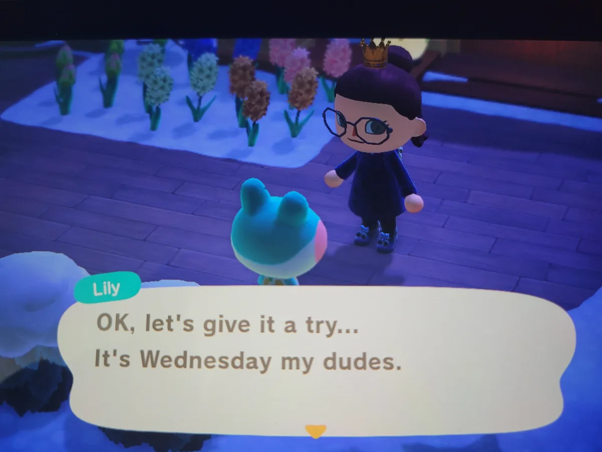 In a screenshot from Animal Crossing, a character named Lily, wearing glasses and a crown, stands facing a small blue…