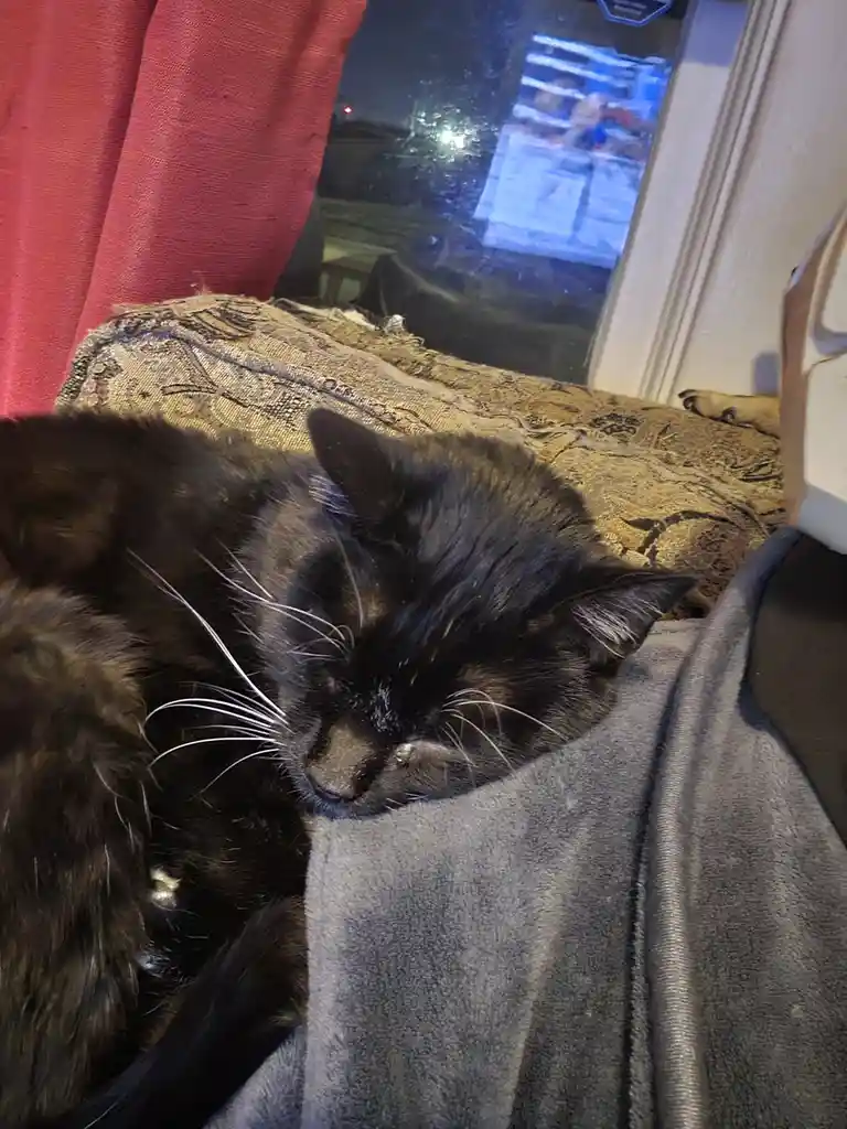 Carrying the Weight of a Void on My Shoulder