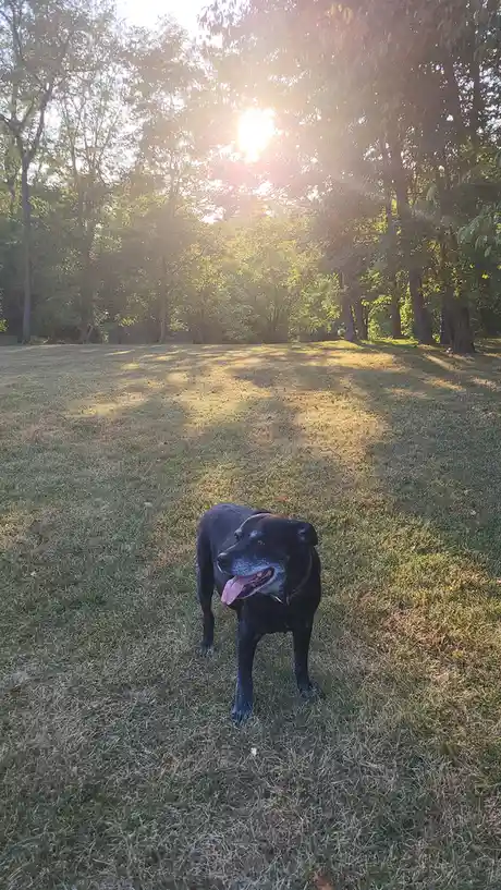 My Jesco basking in the warm sunshine