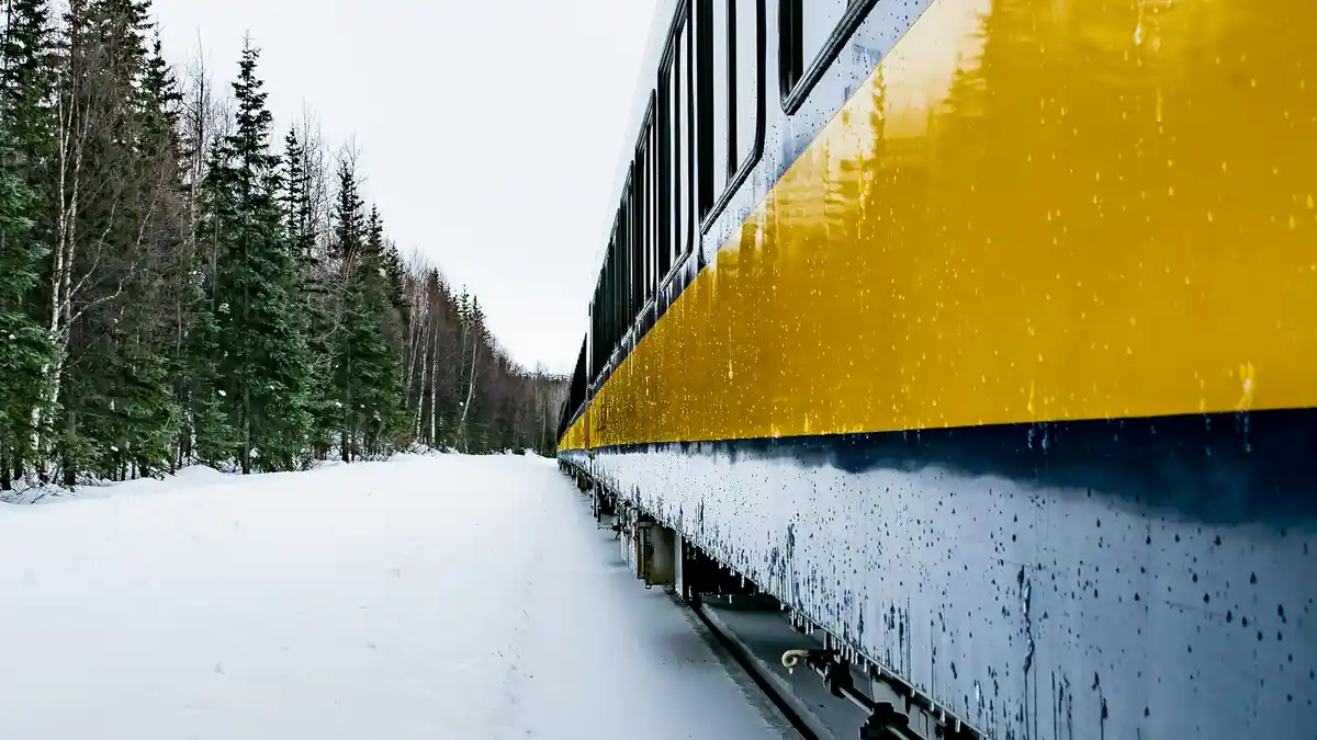A steel behemoth snakes through the frozen landscape, pine trees like sentinels standing guard as the train's whistle…