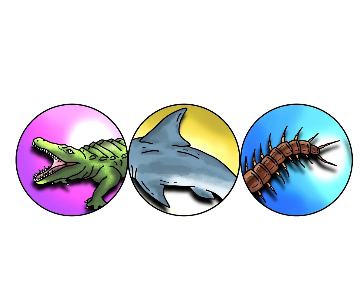 Three cartoon animals — a green alligator, a grey shark, and a brown centipede — are each shown inside a colored circle. The…