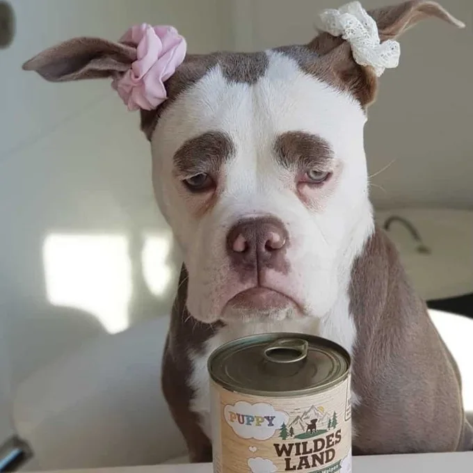 So, Who's the Grumpy Girl Today?