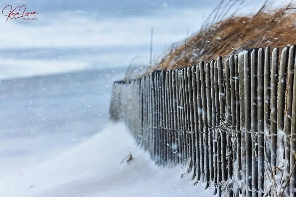A Surreal Scene: Snow Blanketing the Beach