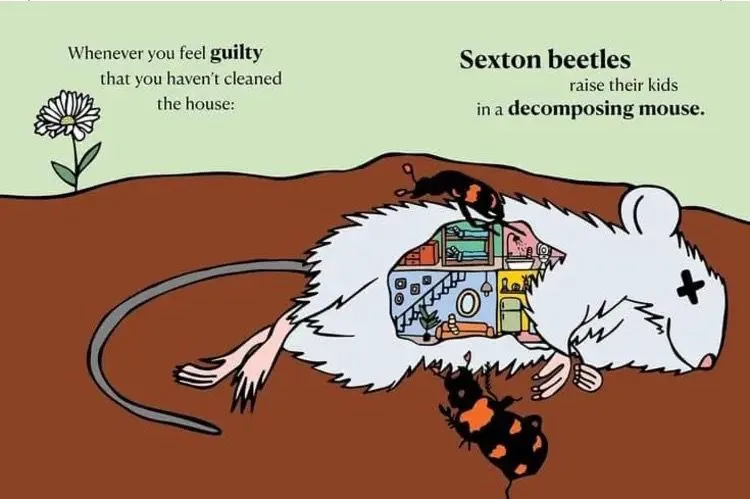 A cartoon illustration shows a dead white mouse lying on brown dirt with a cross on its forehead. Inside the mouse's body is…