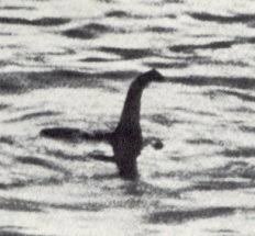 What if the Loch Ness Monster was actually a kangaroo?