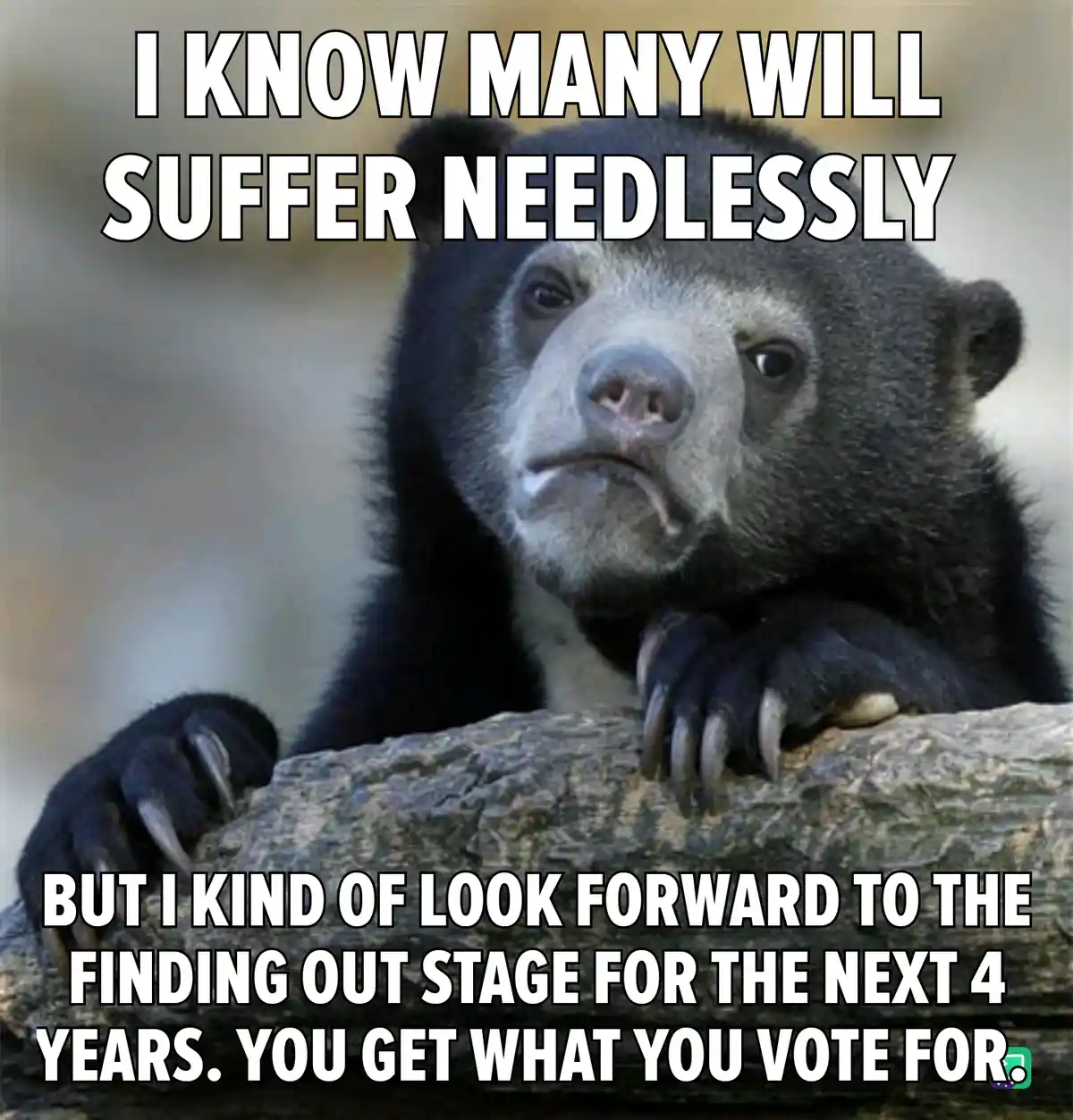 A close-up photo of a sad-looking spectacled bear resting its paws on a log, with white bold text overlaid in two sections…