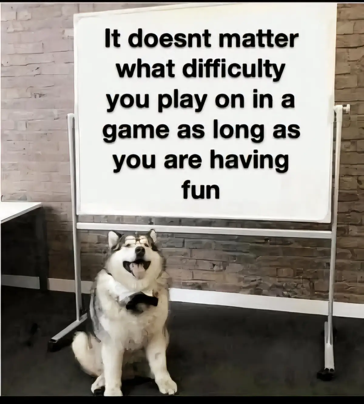 A fluffy husky dog wearing glasses and a bowtie sits in front of a whiteboard that displays the text 'It doesnt matter what…
