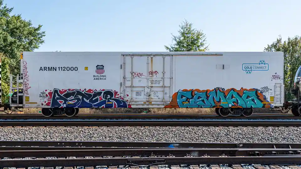 Daily Train Car Chronicles: Day 113