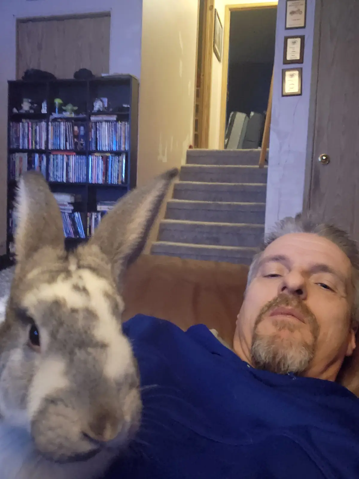 A man in a blue shirt lies on his back indoors, eyes closed with a relaxed expression, while a close-up of a donkey's face…